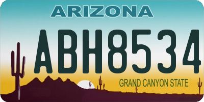 AZ license plate ABH8534