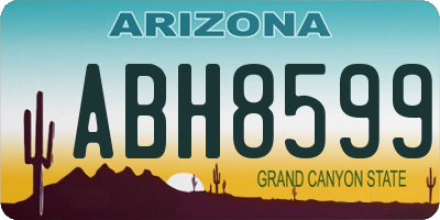 AZ license plate ABH8599