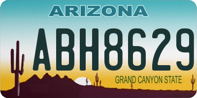 AZ license plate ABH8629