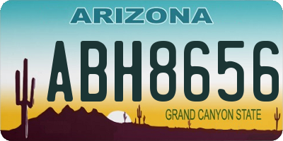 AZ license plate ABH8656