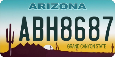 AZ license plate ABH8687