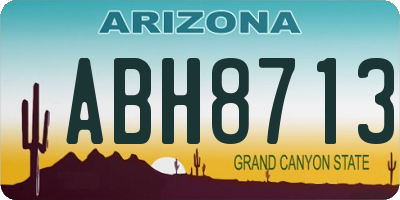 AZ license plate ABH8713