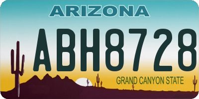 AZ license plate ABH8728
