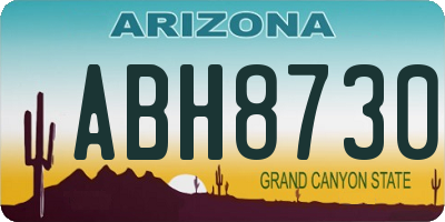 AZ license plate ABH8730