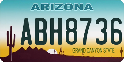 AZ license plate ABH8736