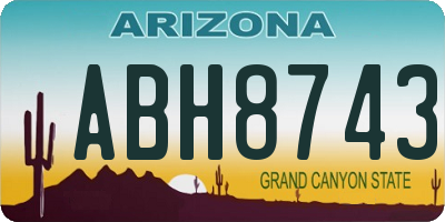 AZ license plate ABH8743