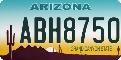 AZ license plate ABH8750