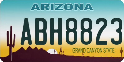 AZ license plate ABH8823