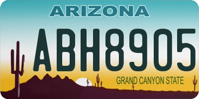 AZ license plate ABH8905