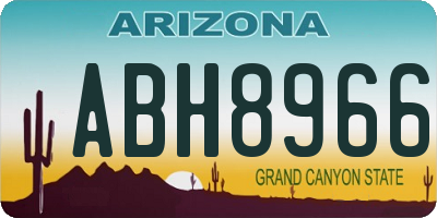 AZ license plate ABH8966