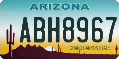 AZ license plate ABH8967