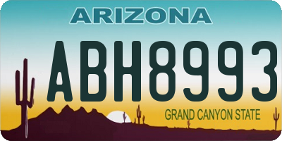 AZ license plate ABH8993