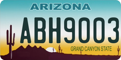 AZ license plate ABH9003