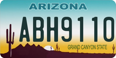 AZ license plate ABH9110