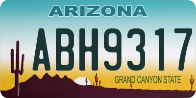 AZ license plate ABH9317