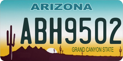 AZ license plate ABH9502