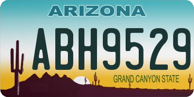 AZ license plate ABH9529