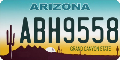 AZ license plate ABH9558