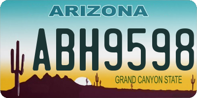 AZ license plate ABH9598