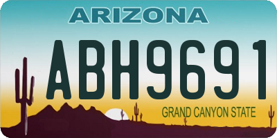 AZ license plate ABH9691