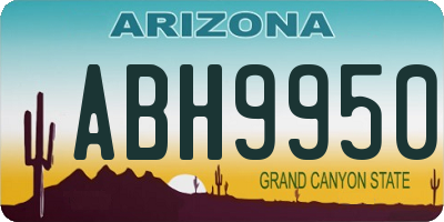 AZ license plate ABH9950