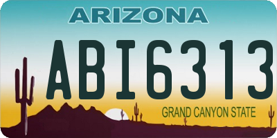 AZ license plate ABI6313