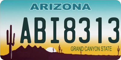 AZ license plate ABI8313