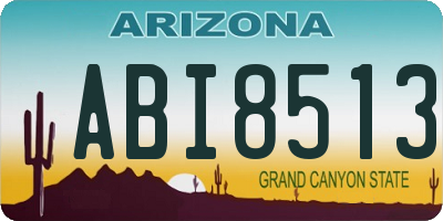 AZ license plate ABI8513