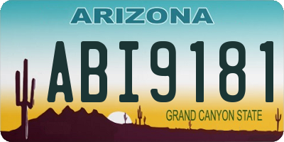 AZ license plate ABI9181
