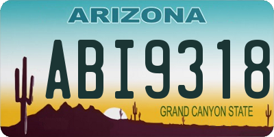 AZ license plate ABI9318