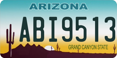 AZ license plate ABI9513