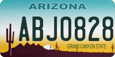 AZ license plate ABJ0828