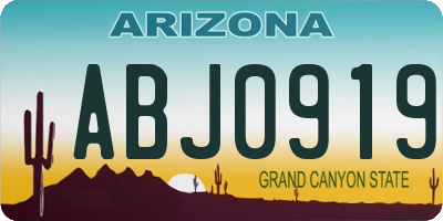 AZ license plate ABJ0919