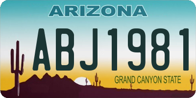 AZ license plate ABJ1981