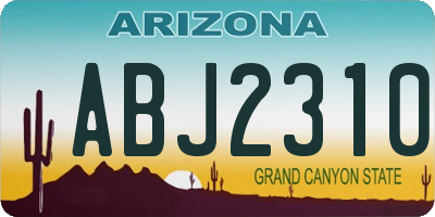 AZ license plate ABJ2310