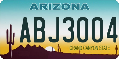 AZ license plate ABJ3004