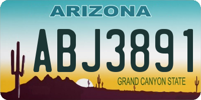 AZ license plate ABJ3891