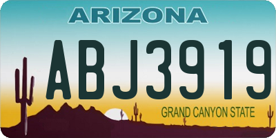 AZ license plate ABJ3919