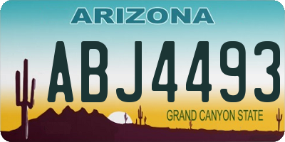 AZ license plate ABJ4493