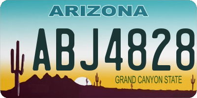 AZ license plate ABJ4828
