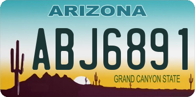 AZ license plate ABJ6891