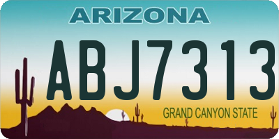 AZ license plate ABJ7313