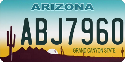 AZ license plate ABJ7960
