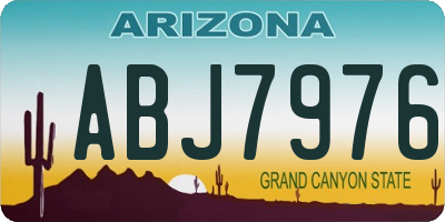 AZ license plate ABJ7976