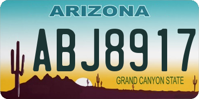 AZ license plate ABJ8917