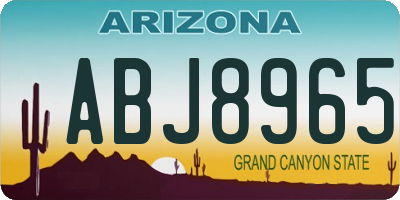 AZ license plate ABJ8965