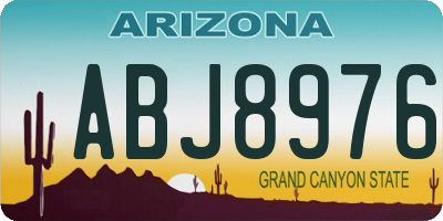 AZ license plate ABJ8976