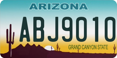 AZ license plate ABJ9010