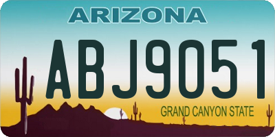 AZ license plate ABJ9051