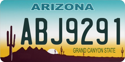 AZ license plate ABJ9291